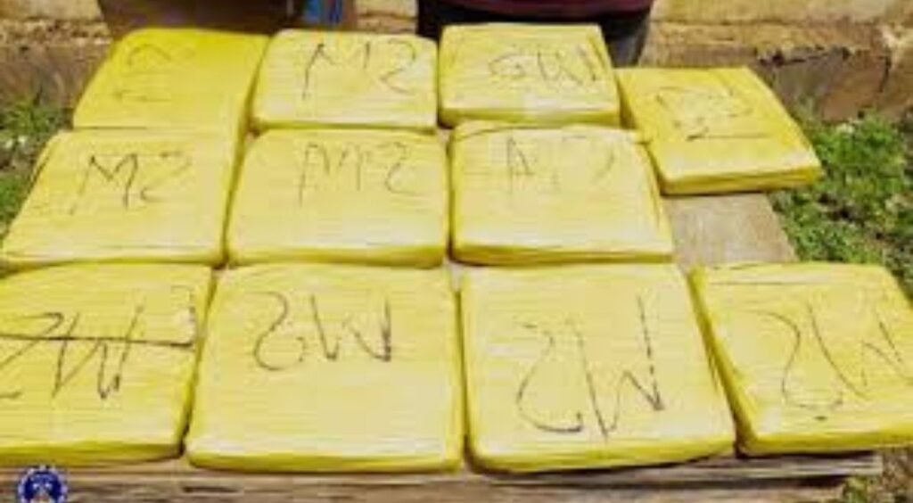 Ouagadougou : La police frappe contre les réseaux de drogue, 217 interpellations