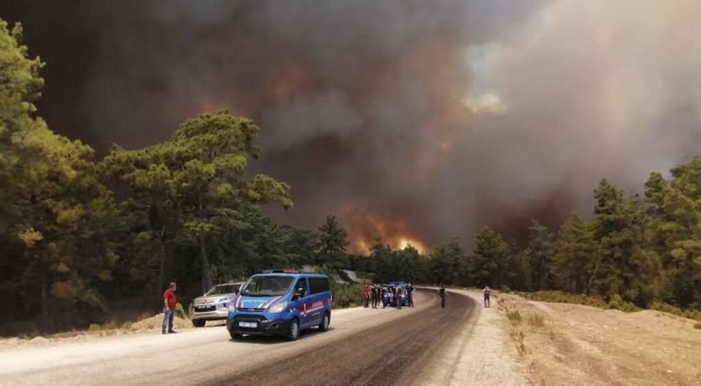 Feux de forêt : La Turquie déploie un dispositif renforcé