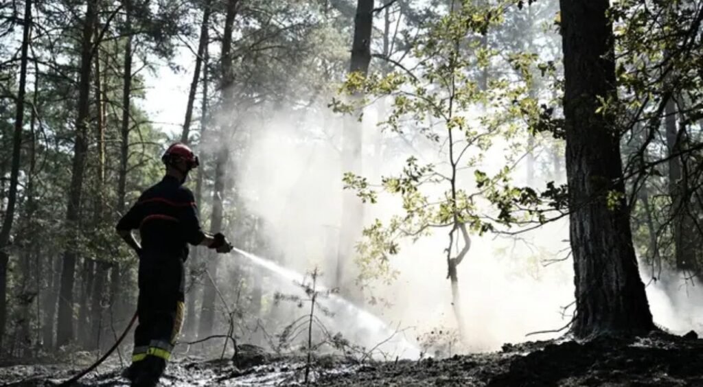 France : Deux ouvriers mis en examen après l’incendie de la forêt de Fontainebleau