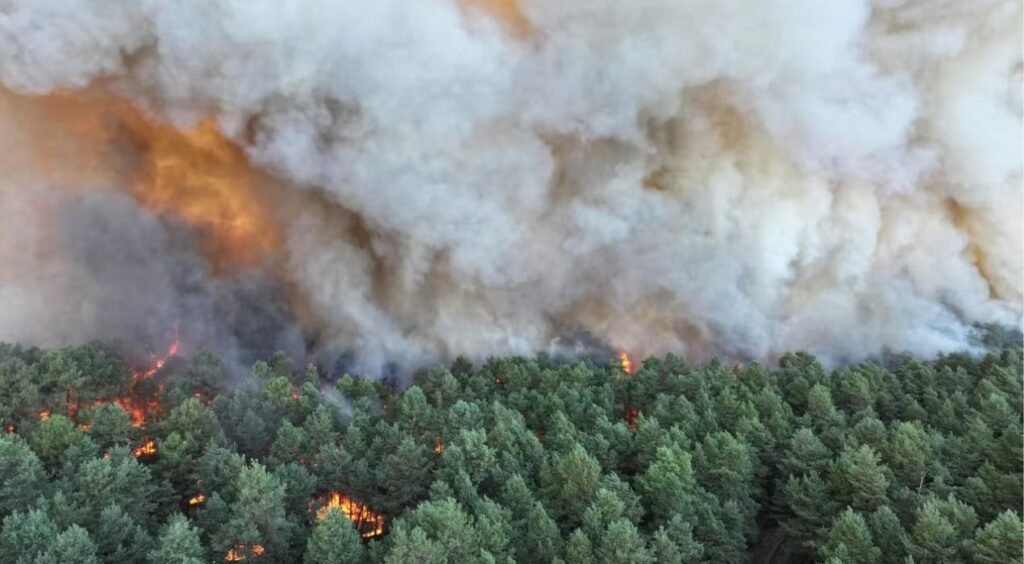 France : Un incendie ravage la forêt de Fontainebleau