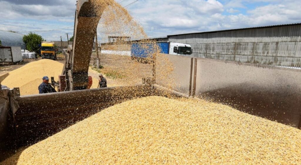 Ukraine-Russie : Les exportations de céréales fragilisées par les frappes